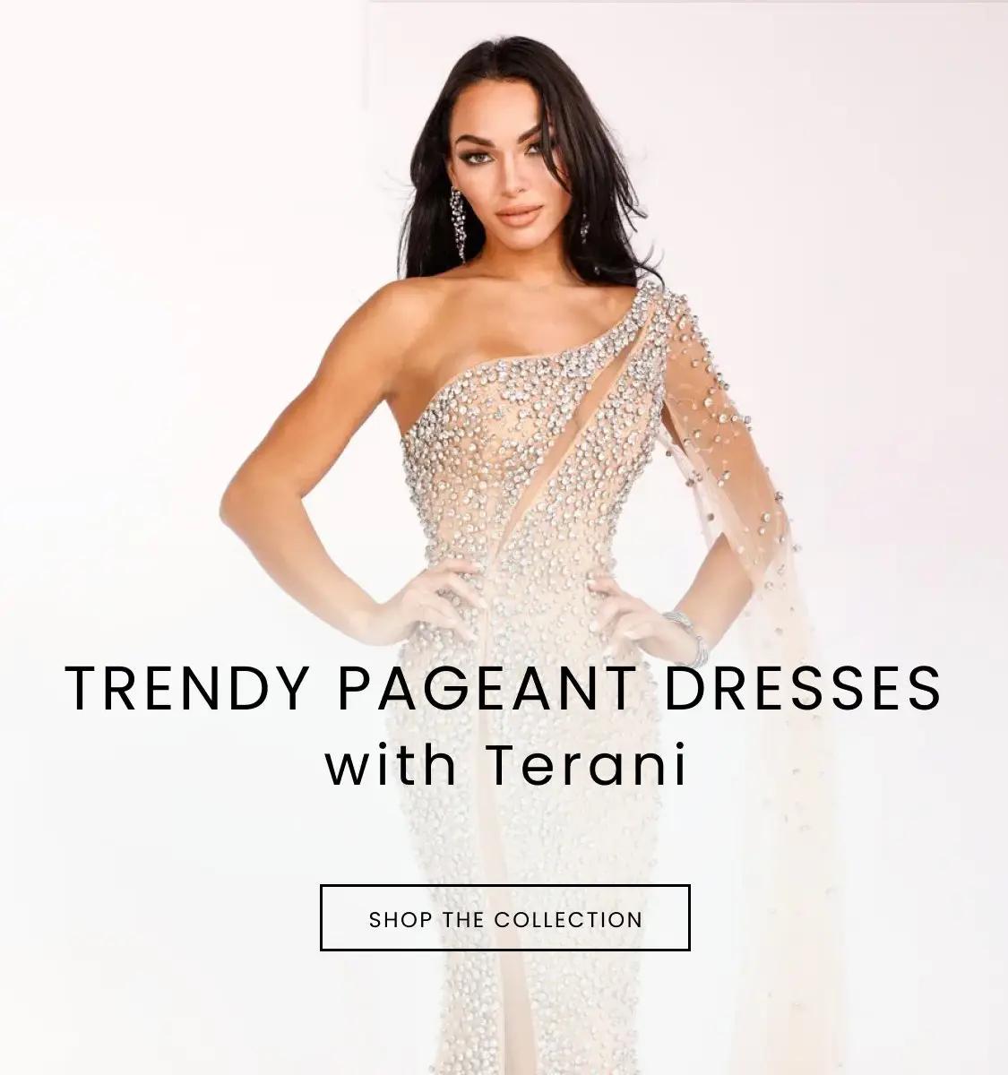Model Wearing Terani Dress